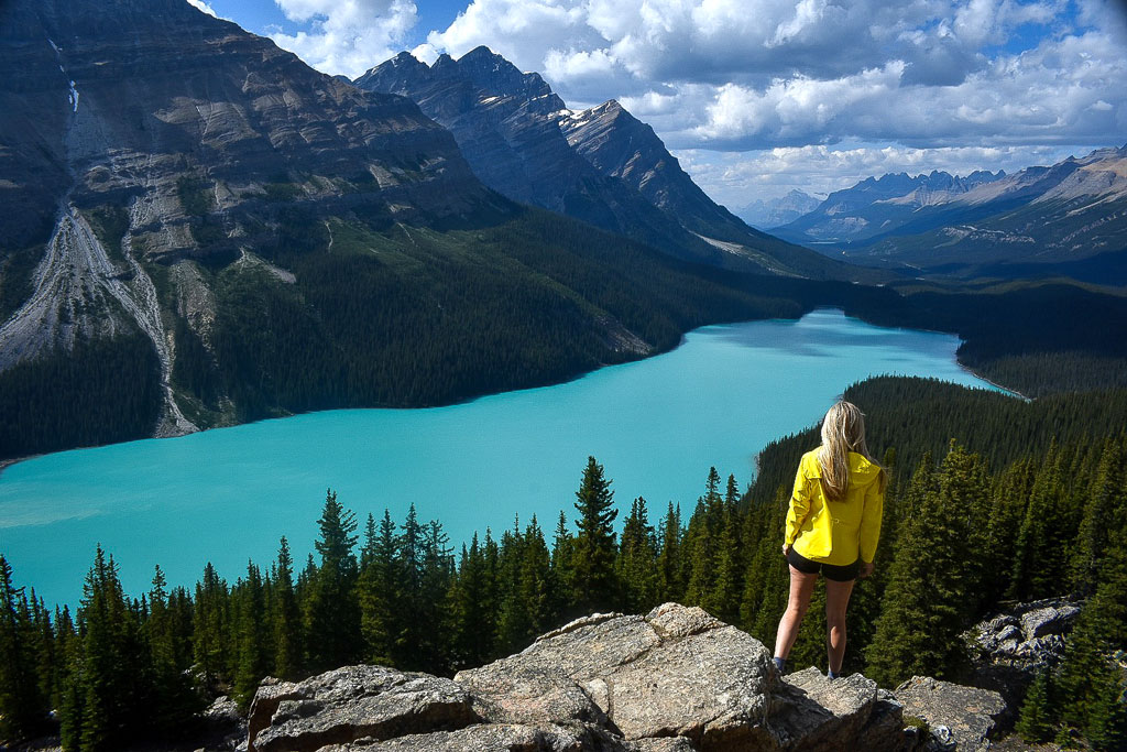 Marveling at the gorgeous Peyto Lake in Banff National Park