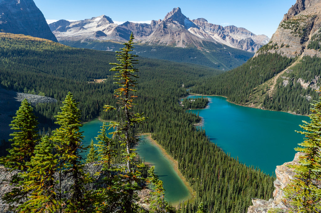 Mind-blowing views of Lake O’Hara.