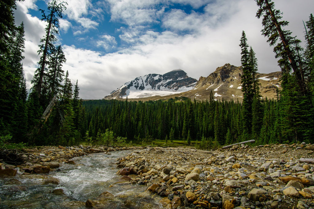 Iceline trail hike in Yoho National Park