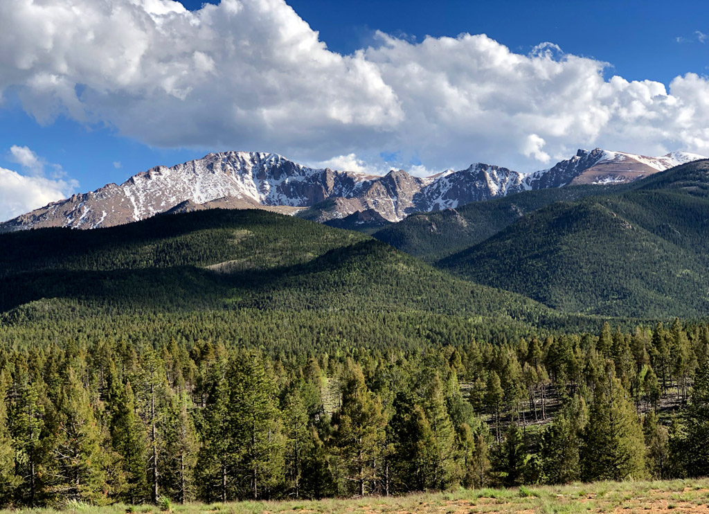 Pikes Peak National Forest in Colorado with pine trees