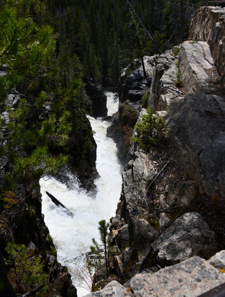 Adams Falls from up above