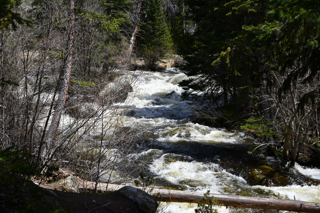 Walk along the river from Adams Falls to East meadow, Rocky Mountain National Park in Colorado