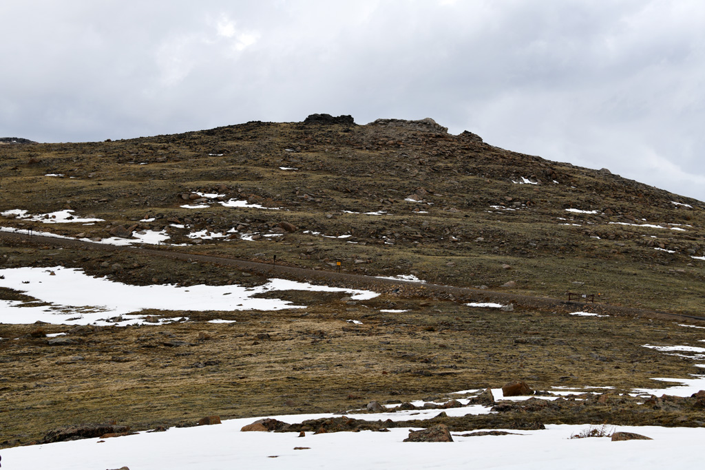 Tundra patters, a special treat for the geology buff at Forest Canyon Overlook in Rocky Mountain National park