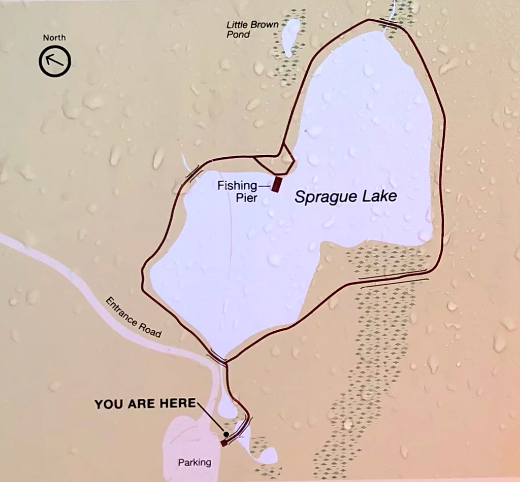 Trail map of 0.9 mile walk around Sprague Lake