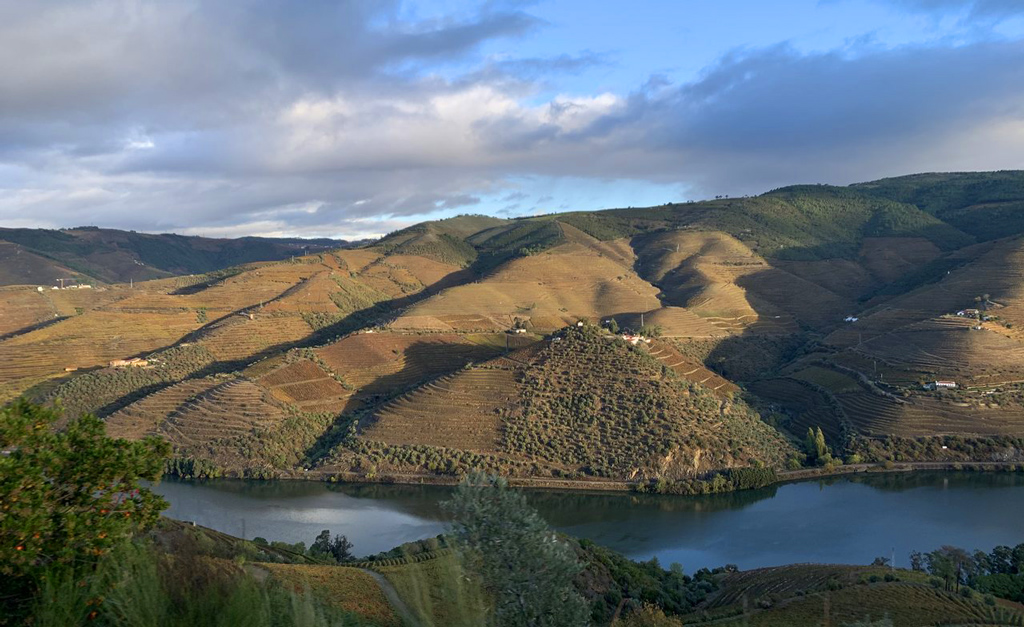 Alto Douro wine region in Portugal when traveling during covid-19 pandemic