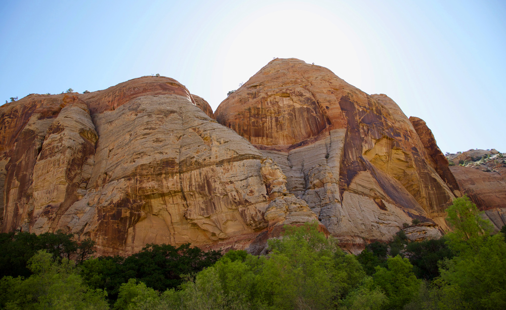 Top 15 Hikes near Escalante, Utah to Enjoy Remarkable Formation ...