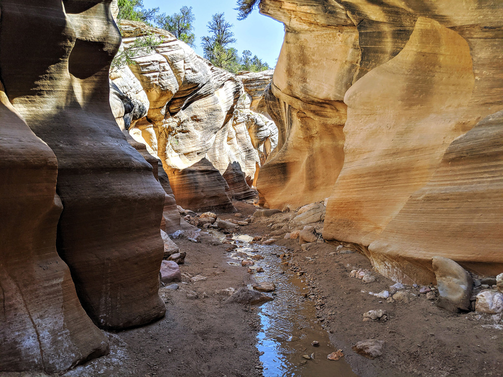 Willis Creek hike in Grand Staircase-Escalante National Monument