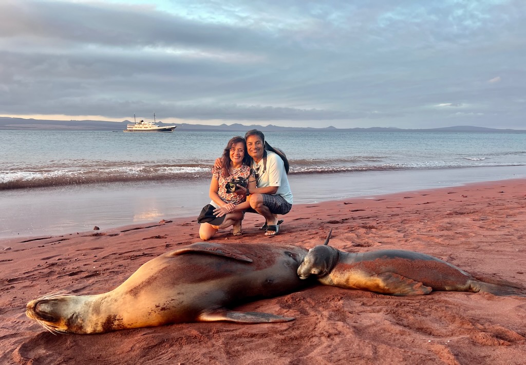 Galápagos sea lion on Rabida island's red sand beach