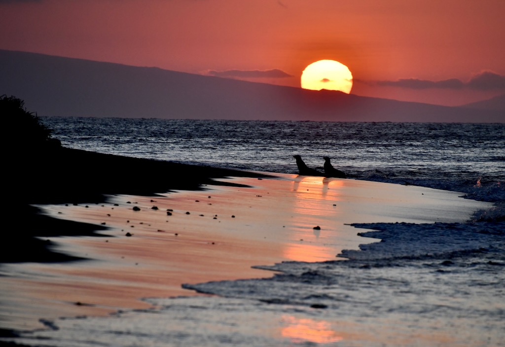 Sunset at Rabida Island, Galapagos