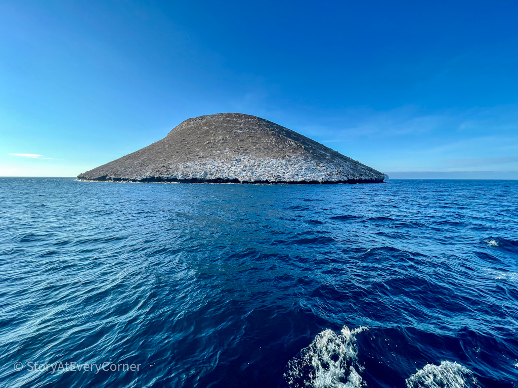 Daphne Island, home to most iconic research about Evolution