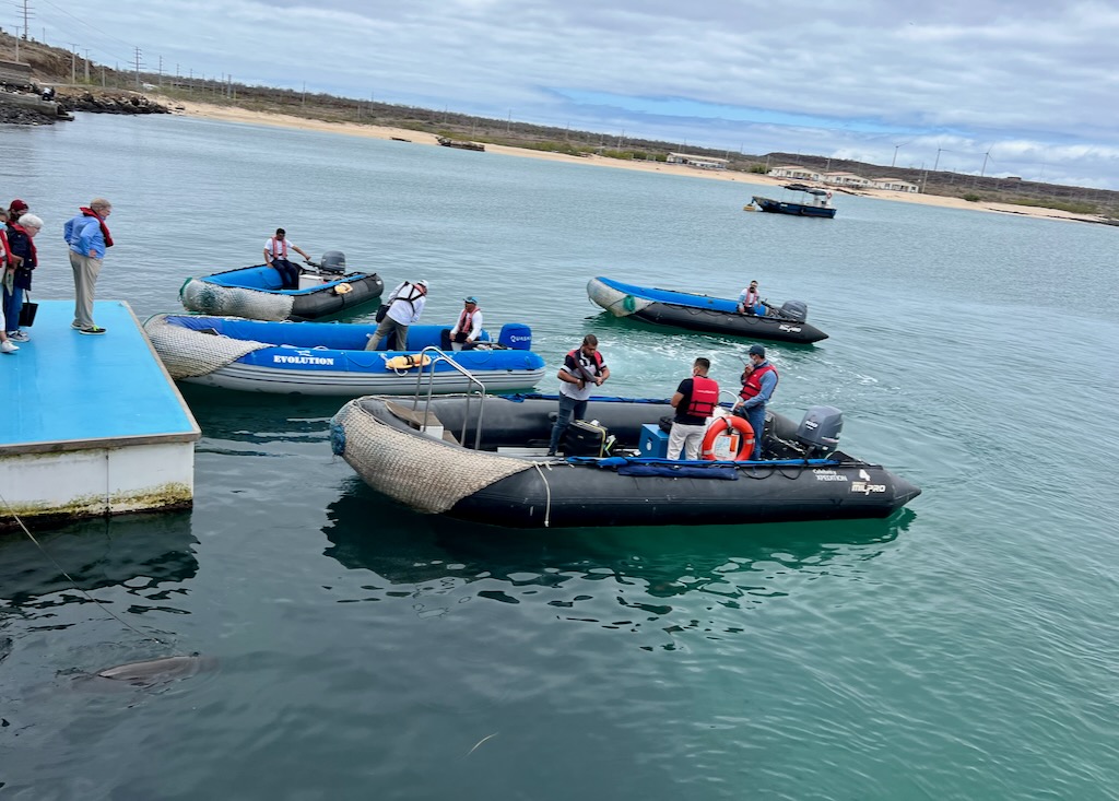 We got on pangas for a ride up to the Quasar Evolution, to start the magical expedition in the Galapagos