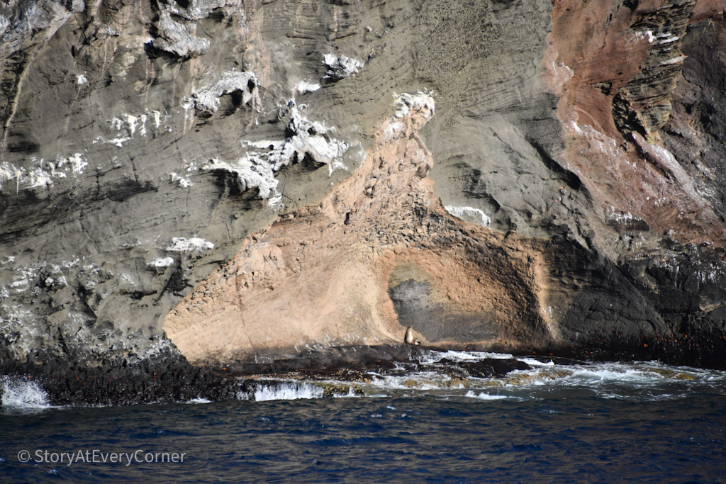 The entire Daphne Major Island looked like a massive chunk of rock, teeming with wildlife.See if you can find the sea lions or other wildlife.