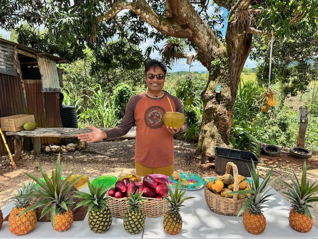 A joyous spread of fresh fruit right from the farm