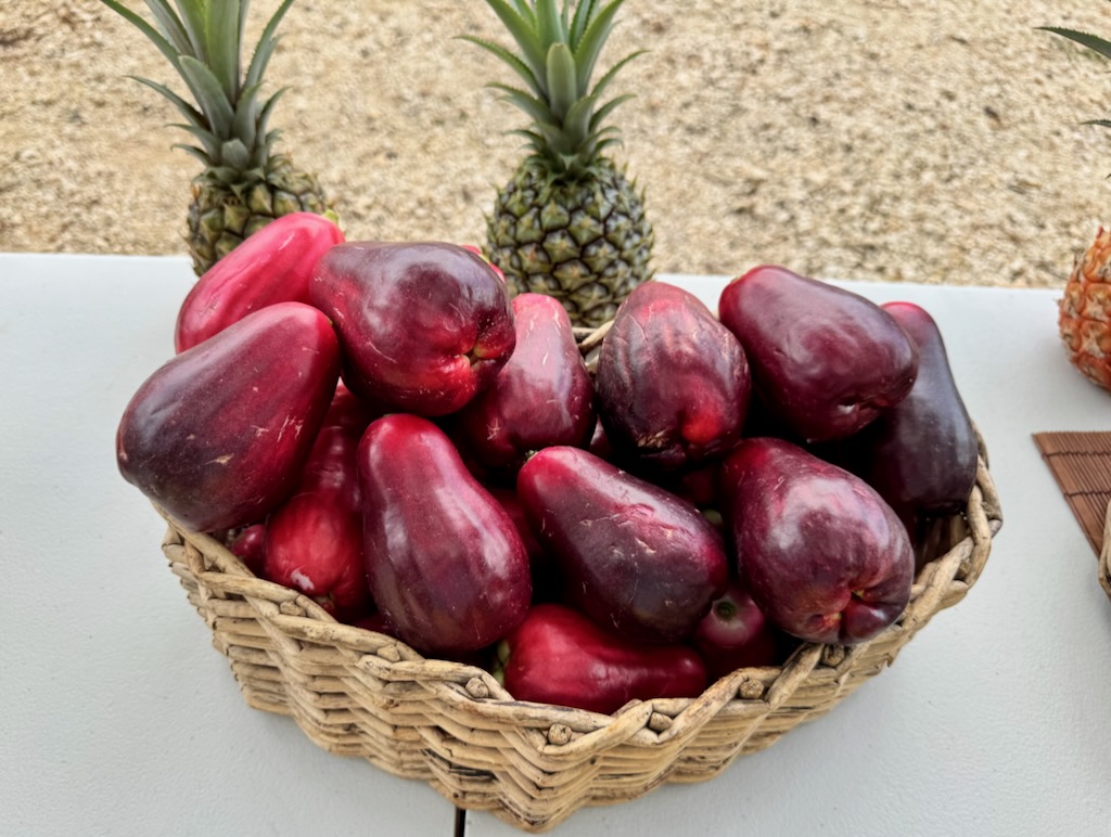 Jamaican apples
