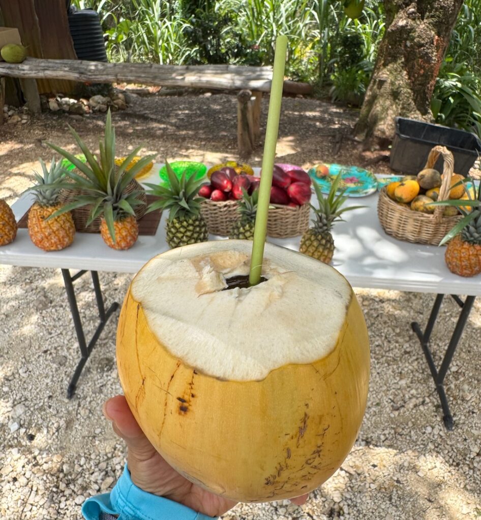Coconut water as a refreshing welcome drink