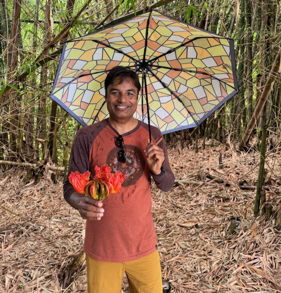 Donkey Peepee flowers