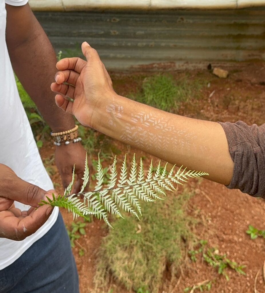 Instant tattoo plants in Jamaica