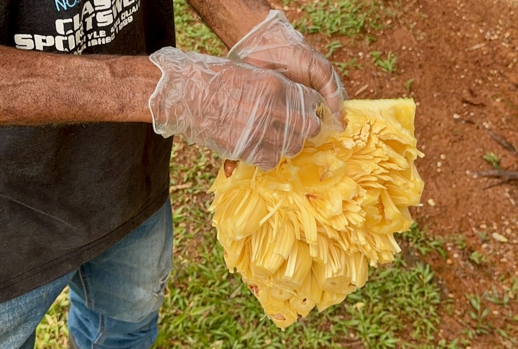The seeds and non-fleshy lining has to be removed completed, one at a time