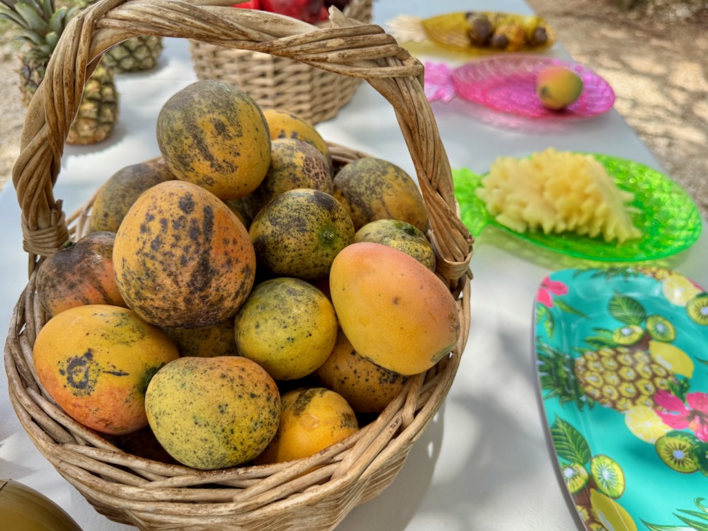 Jamaican mango at peak