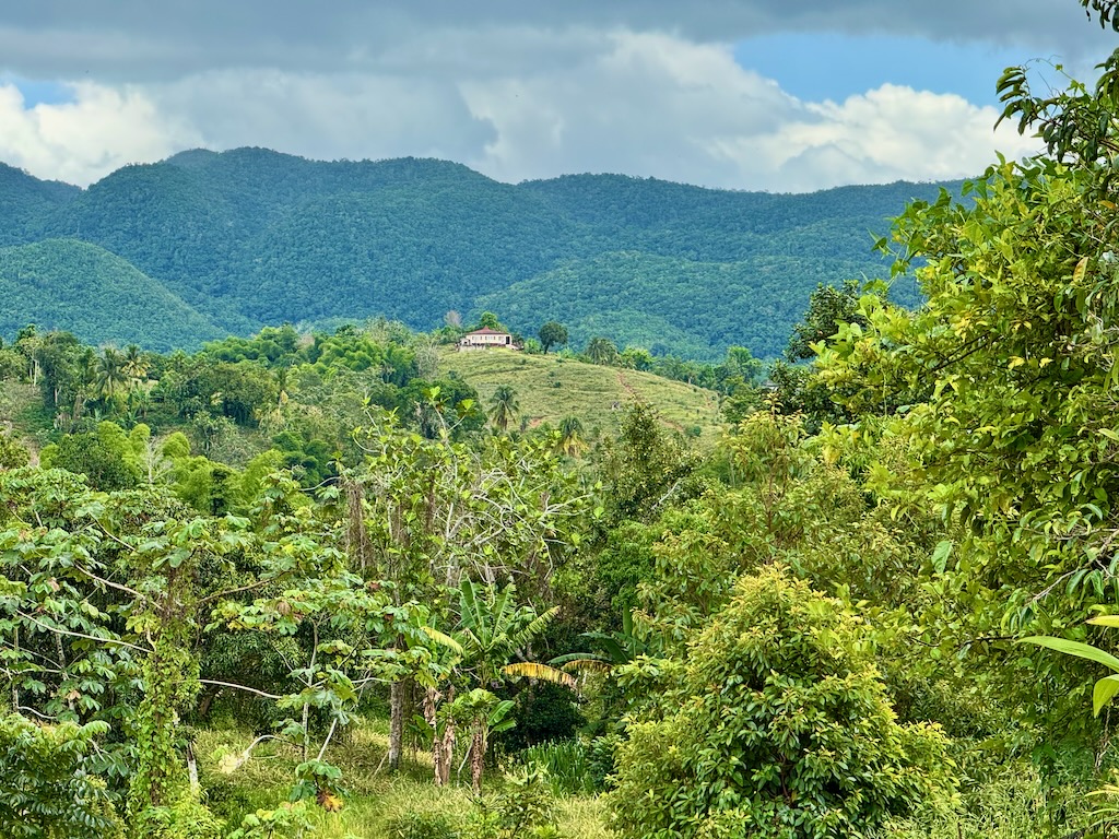 Home of the oldest female farmer in the Jamaican mountains