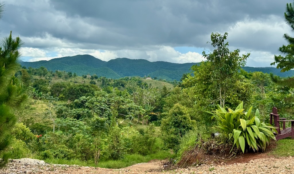 The farthest dark green hills are home to the indigenous Taino people of Jamaica, practicing sustainable farming and eco-tourism