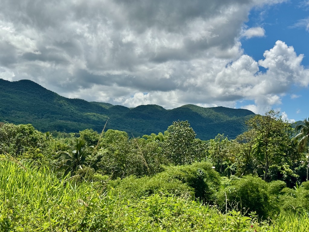 Jamaica's lush green topical mountains
