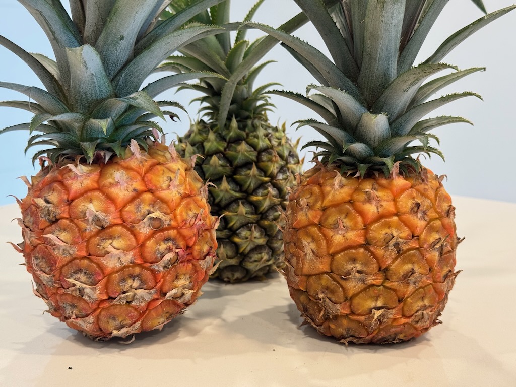 Jamaican pineapples
