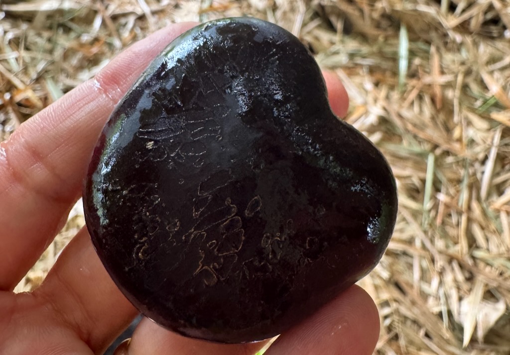 A magic seed with many uses
