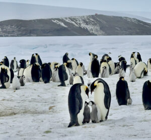 Abundance and beauty in nature is the norm, if we let it be