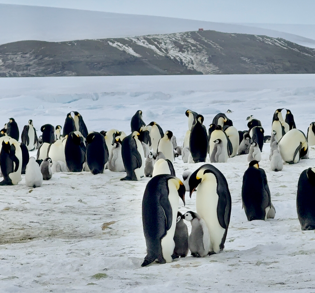 Abundance, beauty, and love in every inch. Can you spot the kissing couples?