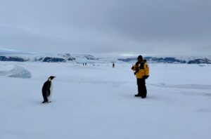 Emperor penguin inspecting Nirmal in snow hill antartica