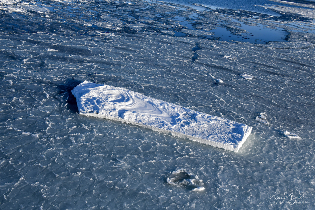Everchanging Ice and icebergs in Weddell sea Antartica