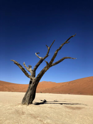 Namibia