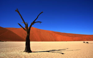 Namib-Naukluft National Park