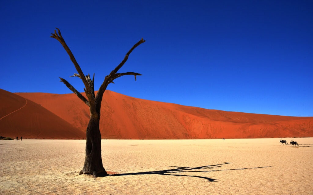 Namib-Naukluft National Park 
