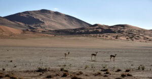 Namibia