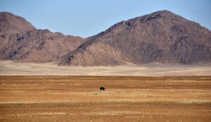 Namibia