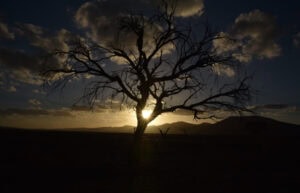 Namibia