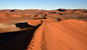 Red sand dunes in Namib Nakuluft National Park