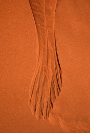 Namibia