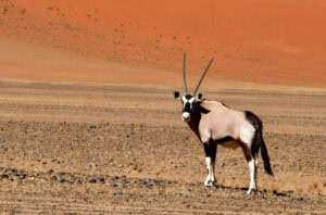 Namibia