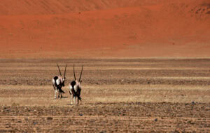 Namibia