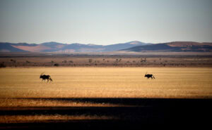 Namibia