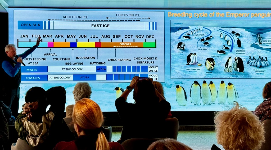 A deep dive, Fabrice's lecture on Emperor penguins 