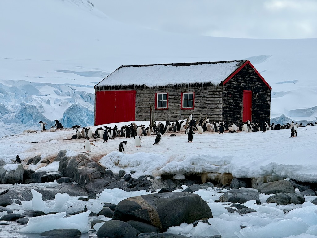 British hut at Damoy Point near Wiencke Island, Antarctica 