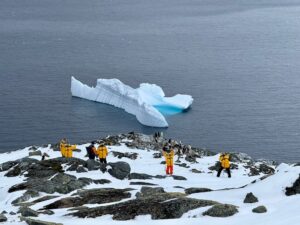 Chinstrap penguin colony at Palaver Point Antarctica