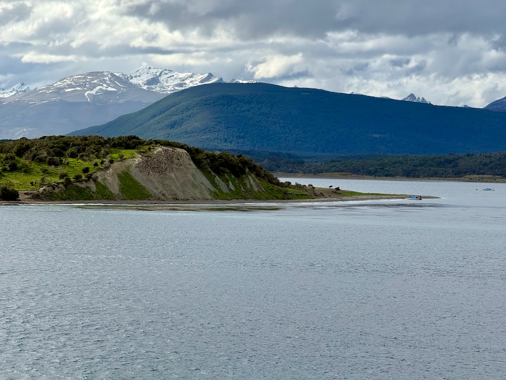 Magellanic and Gentoo penguins on Martillo Island in Beagle Channel