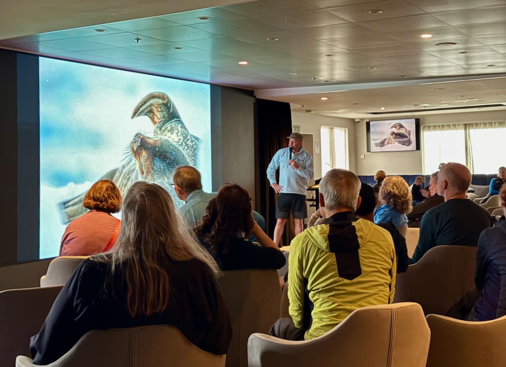 Nirmal's seal photo in top photos