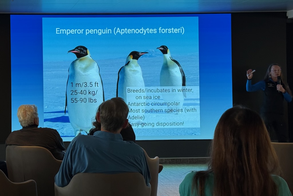 Penguin Ranch – Ice Life with Emperors with researcher Torre Stockard