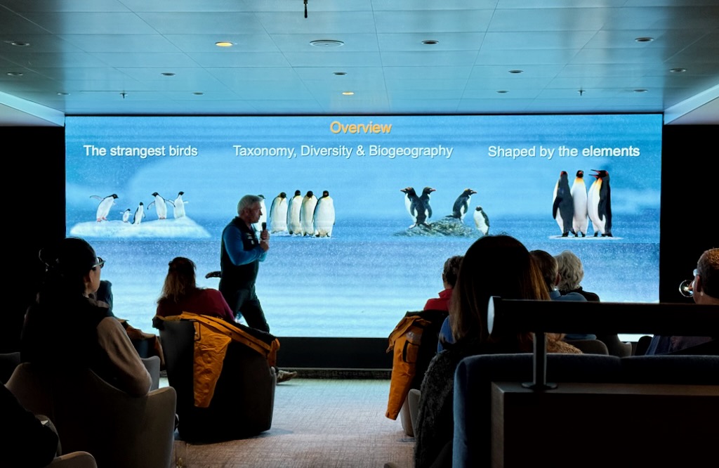 Penguins - A Natural History with Ornithologist Fabrice Genevois